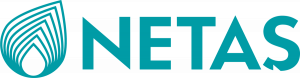 Netaş logosu